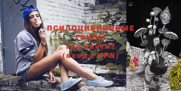 сатива Россошь