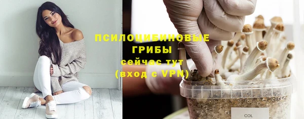 винт Ростов