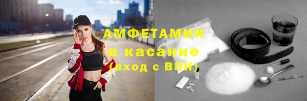 сатива Россошь