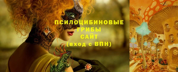 ALPHA-PVP Белокуриха